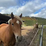 Waldblick بيت للعطل Hohenfels-Essingen