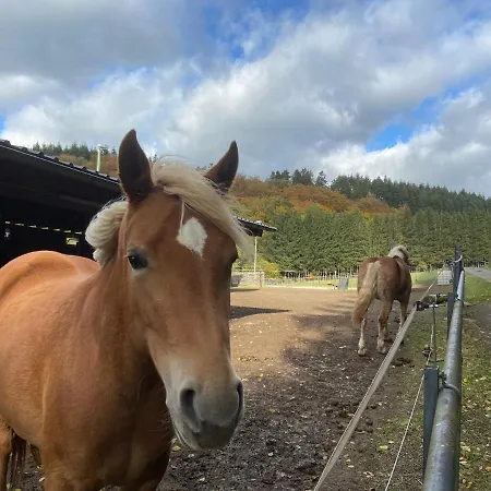 Waldblick Semesterbostad Hohenfels-Essingen