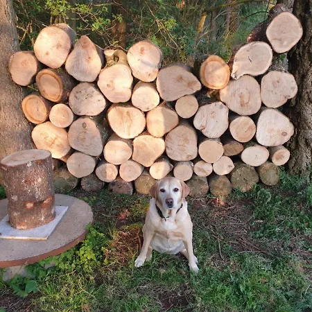 Waldblick * Hohenfels-Essingen