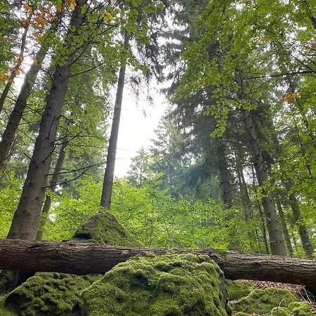 Waldblick Casa de Férias *