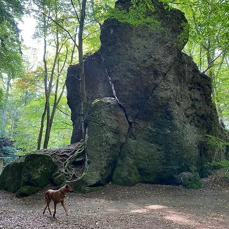 Waldblick Tatil Evi Hohenfels-Essingen