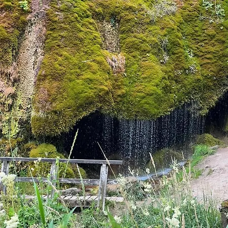 Waldblick * Hohenfels-Essingen