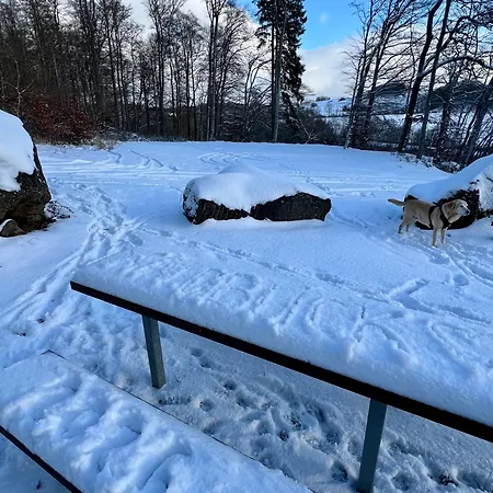 Waldblick Hohenfels-Essingen