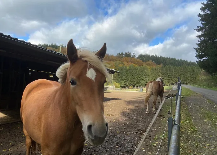 Waldblick Сasa de vacaciones Hohenfels-Essingen