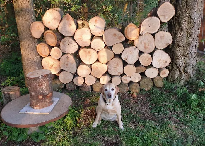 Waldblick * Hohenfels-Essingen